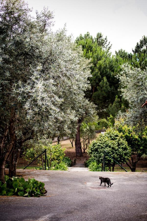Villa Casa Jone Tomar Esterno foto